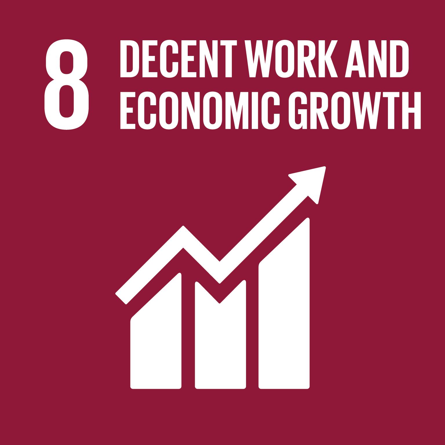 Afbeeldingsresultaat voor sustainable development goals 8