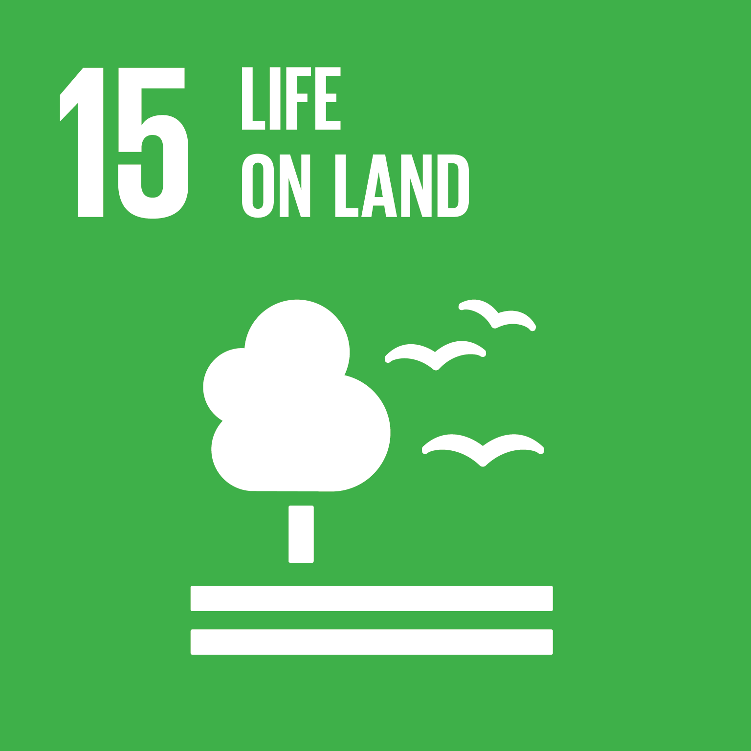 sdg 15 life on land essay