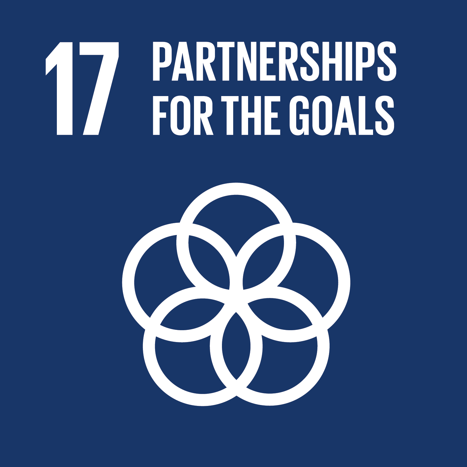 Sustainable Development Goal 17: Partnerships for the Goals